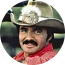 1234 Burt Reynolds