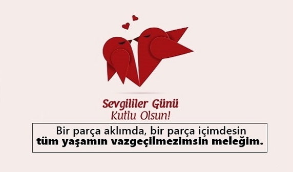 14 Şubat Mesajlari