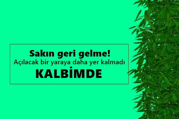 Kahraman Tazeoğlu Sözleri