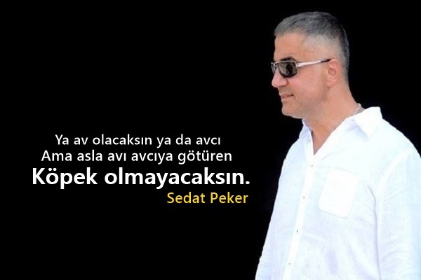 Sedat Peker Sözleri