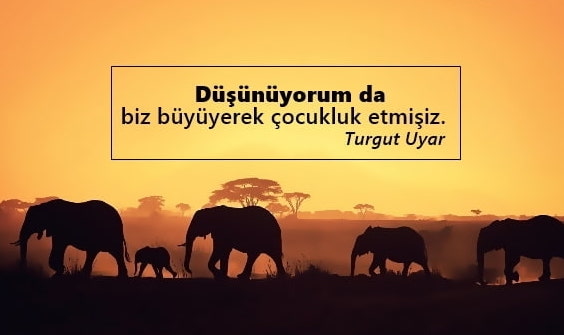 Turgut Uyar Sözleri