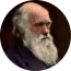 1047 Charles Darwin