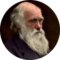 1047 Charles Darwin
