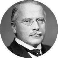 311 Carl Gustav Jung